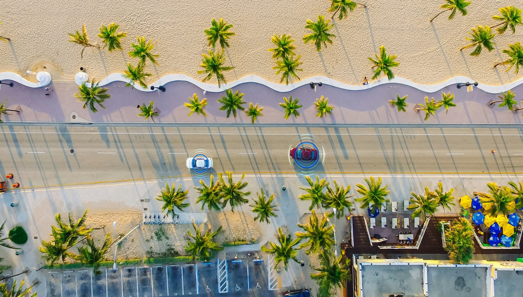 Aerial view of vehicles with sensing rings on a palm-lined coastal road